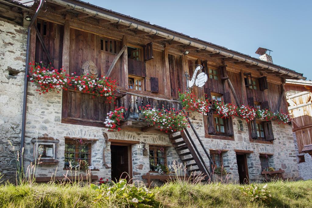 Chalet Alpenrose Bio Wellness Naturhotel 科戈洛 外观 照片