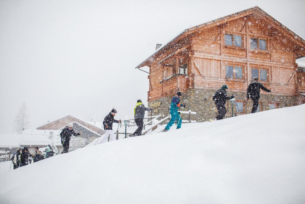 Chalet Alpenrose Bio Wellness Naturhotel 科戈洛 外观 照片
