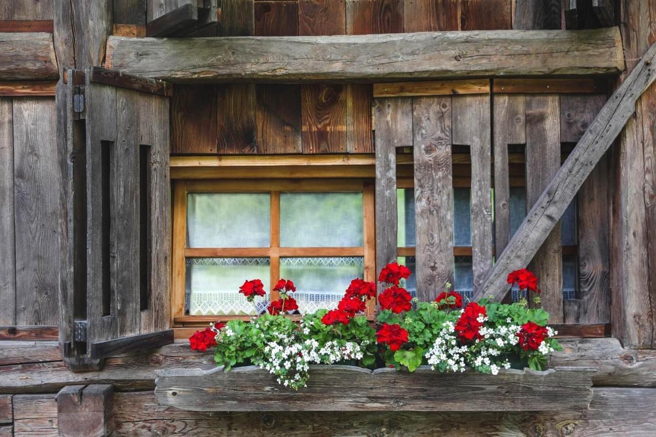 Chalet Alpenrose Bio Wellness Naturhotel 科戈洛 外观 照片